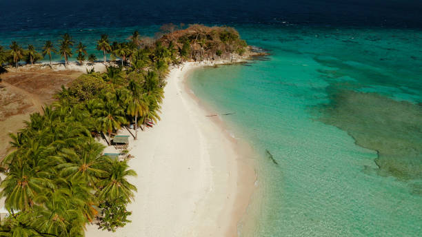 istock torpical island with white sandy beach, top view 1172334838