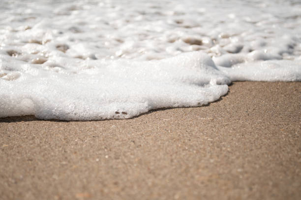 istock Foamy water rolling onto shore 1172335023