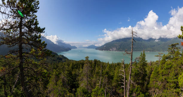 istock Kayaking in Canadian Rockies 1172337047