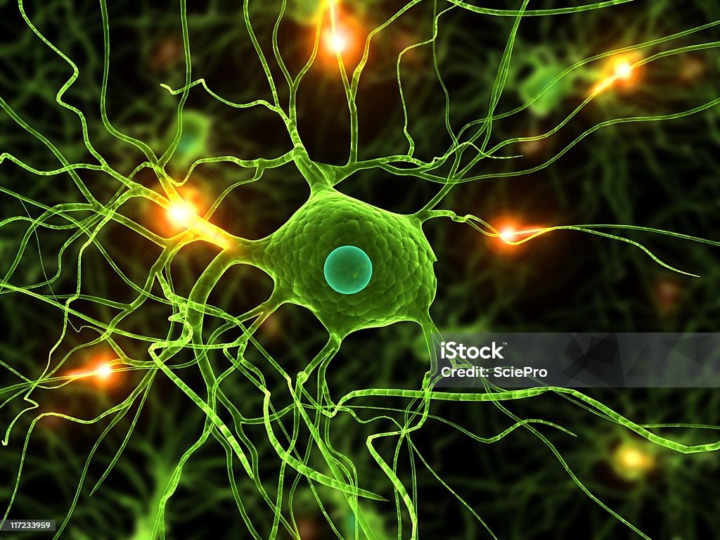 neurone activo - Foto de stock de Anatomía libre de derechos