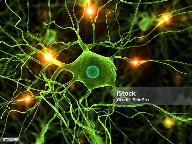 Neurone Activo Foto de stock y más banco de imágenes de Anatomía - Anatomía, Ansiedad, Asistencia sanitaria y medicina