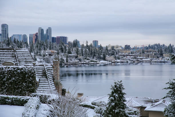istock Winter Bellevue Washington 1172340515