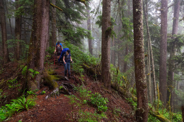 istock Hiking Juan de Fuca Trail 1172342849