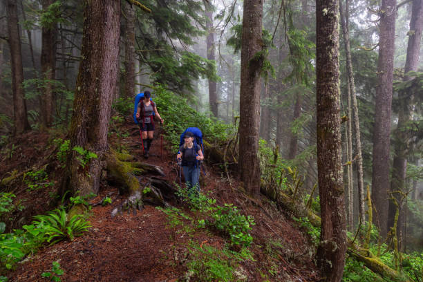 istock Hiking Juan de Fuca Trail 1172343442