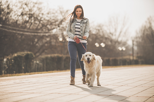 Full length of a smiling woman walking a beautiful golden retriever on leash in the city.