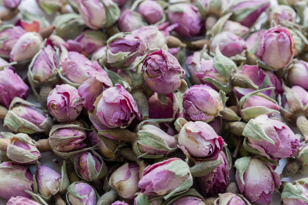 istock Tea from dried pink rosebuds. Rosebud textured flower background. 1172343780