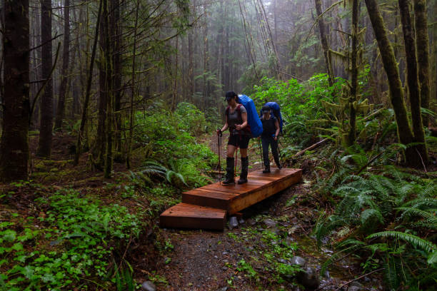 istock Hiking Juan de Fuca Trail 1172343785