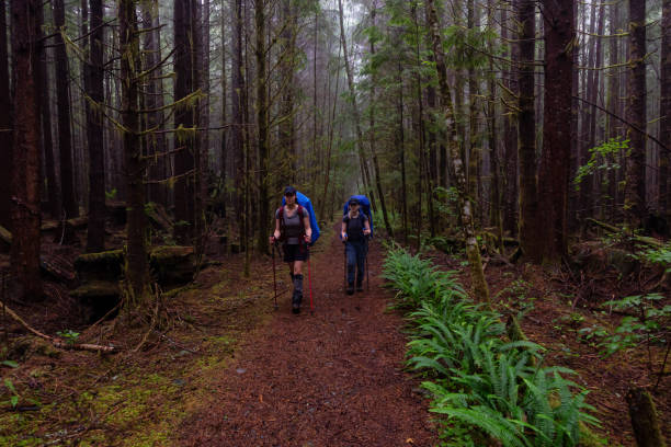 istock Hiking Juan de Fuca Trail 1172343933