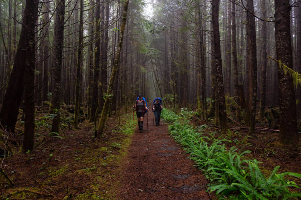 istock Hiking Juan de Fuca Trail 1172343975