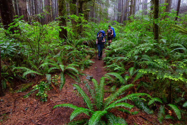 istock Hiking Juan de Fuca Trail 1172344086