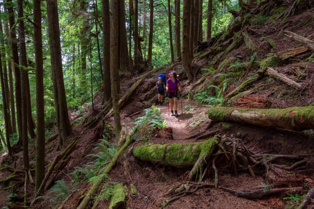 istock Hiking Juan de Fuca Trail 1172344652