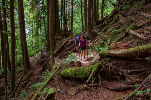 istock Hiking Juan de Fuca Trail 1172344724