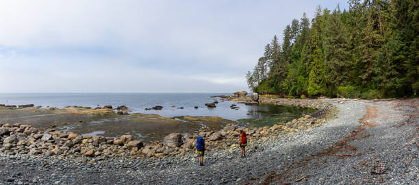 Canadian West Coast Landscape Adventurous girl hiking Juan de Fuca Trail to Bear Beach on the Pacific Ocean Coast during a sunny and foggy summer morning. Taken near Port Renfrew, Vancouver Island, BC, Canada. colwood photos stock pictures, royalty-free photos & images