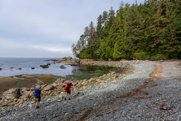 istock Hiking Juan de Fuca Trail 1172345475
