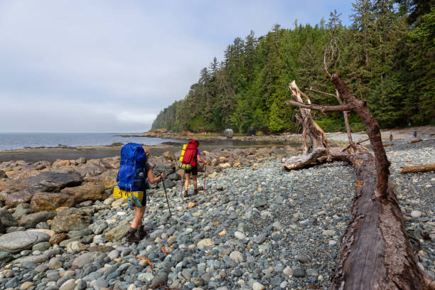 istock Hiking Juan de Fuca Trail 1172345476