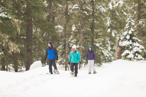 istock Snowshoeing in the forest 1172345979