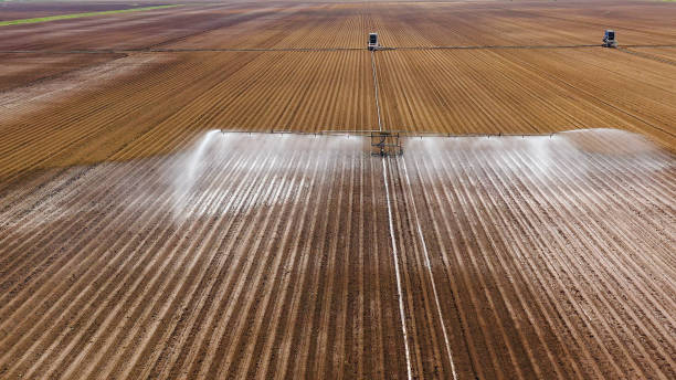 istock Irrigation system on agricultural land 1172348555