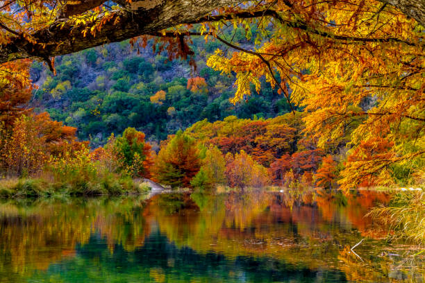 garner state park - autumn water leaf stream stock-fotos und bilder