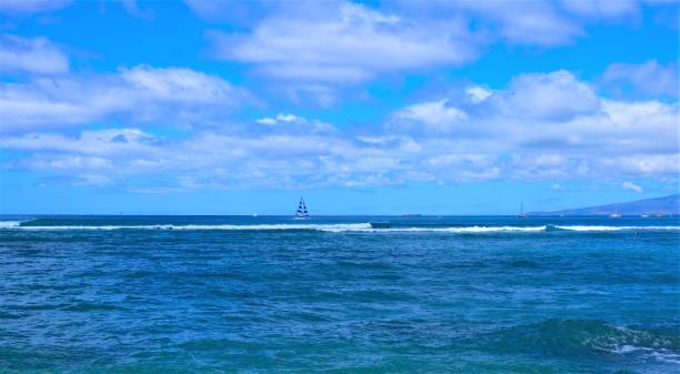 actividades acuáticas en el océano pacífico frente a la costa de waikiki beach, oahu, hi - oahu water sand beach fotografías e imágenes de stock