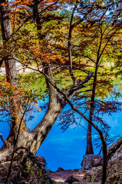 ガーナー州立公園 (テキサス州) - landscape usa vibrant color riverbank ストックフォトと画像