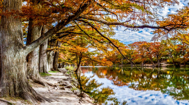 istock Fall Foliage on Cypress Trees on the Frio River, Texas. 1172349816