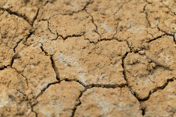 sol fissuré - global warming cracked dirt earth photos et images de collection