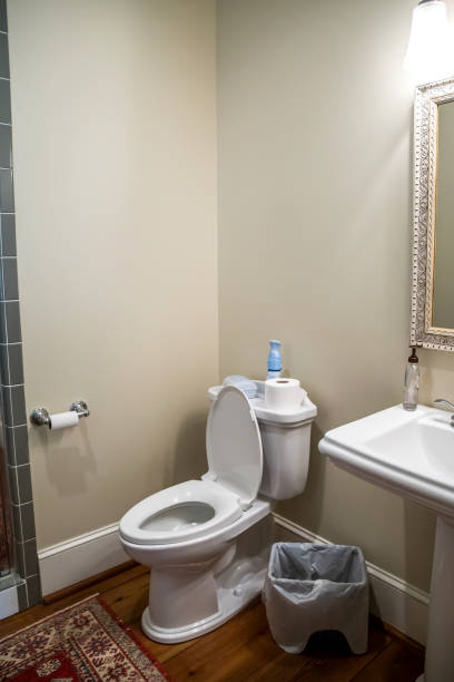 istock Neutral bathroom with the sink, toilet, and mirror 1172356746