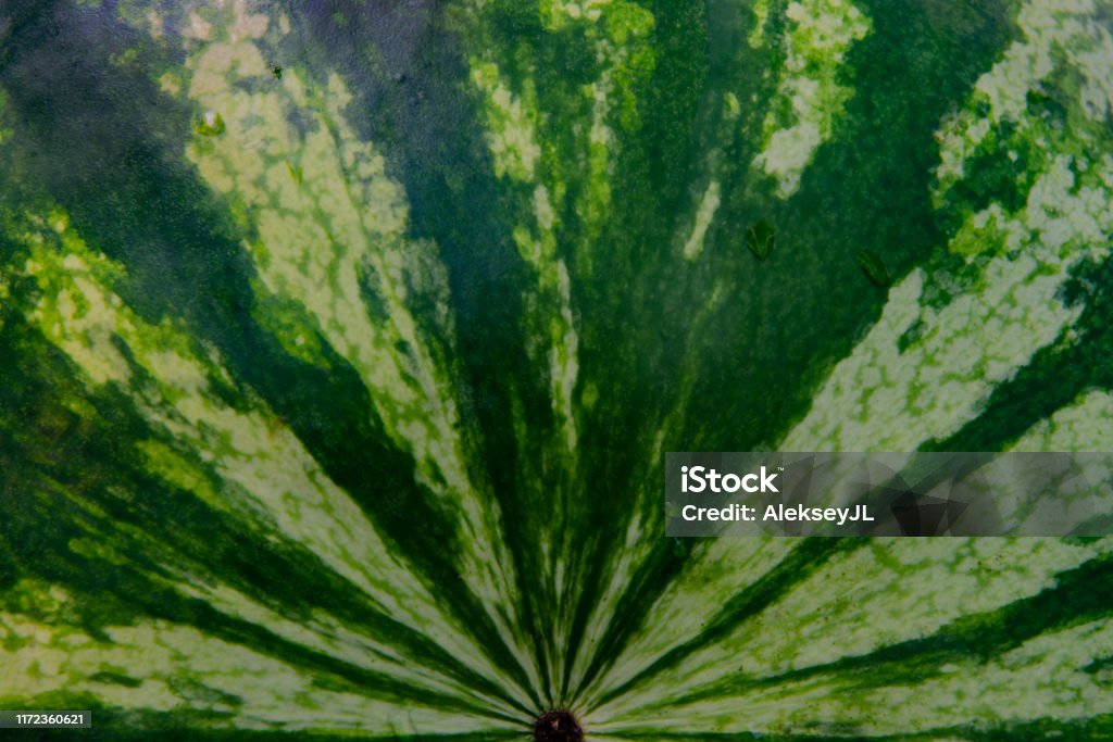 Half watermelon with diverging radial lines Horizontal Stock Photo