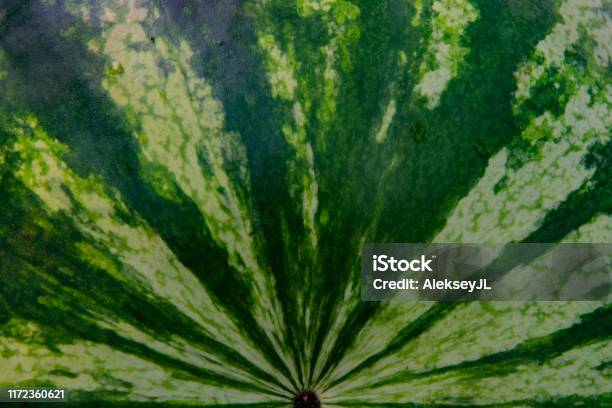Half Watermelon With Diverging Radial Lines Stock Photo - Download Image Now - Horizontal, No People, Photography