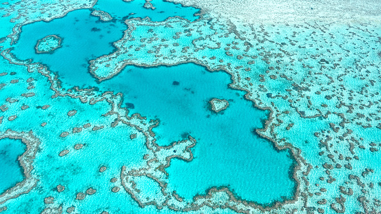 An underwater view of a coral reef illuminated by sun rays. The clear blue water provides visibility to observe the scene. The coral reef features brain coral formations, displaying their distinct patterns. No fish are visible in the photograph.