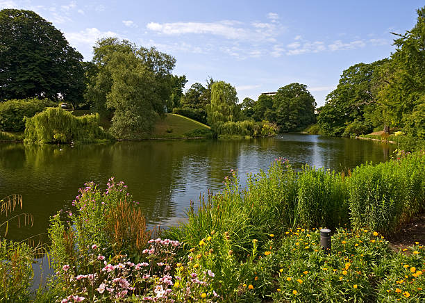 istock Lake in the park, Copenhagen 117236200