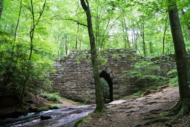 istock Poinsett Bridge in South Carolina 1172362575