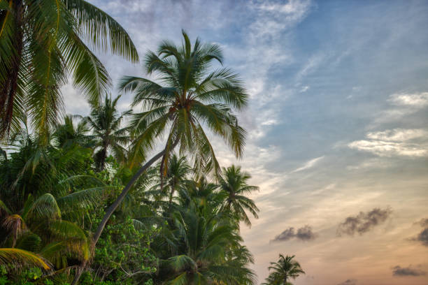 istock Romantic sunset in the Maldives 1172364706
