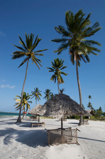 Georgetown, Guyana: Shell Beach - tropical beach on the Atlantic Ocean waterfront, near the Demerara River estuary - downtown beach.