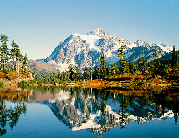istock Beauty in Nature 117237645