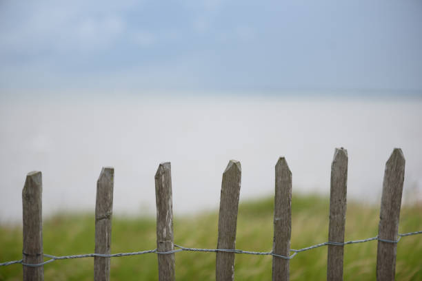 istock Wooden Fence Posts and Summer Sky 1172380649
