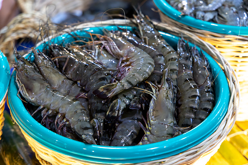 big shrimps in the basket, Philippines