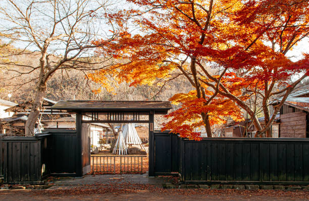 Kakunodate old Samurai town famous vintage Edo village in autumn DEC 3, 2018 Kakunodate, Japan - Kakunodate old Samurai town famous vintage Edo village with colourful autumn tree of Akita, Tohoku region japanese akita stock pictures, royalty-free photos & images