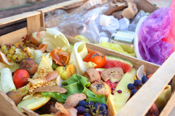 istock Different trash. Garbage sorting: iron, paper, plastic, domestic waste for compost from fruits and vegetables. 1172387180