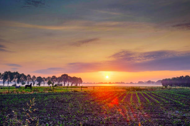 istock Colorful glowing sunrise 1172387394