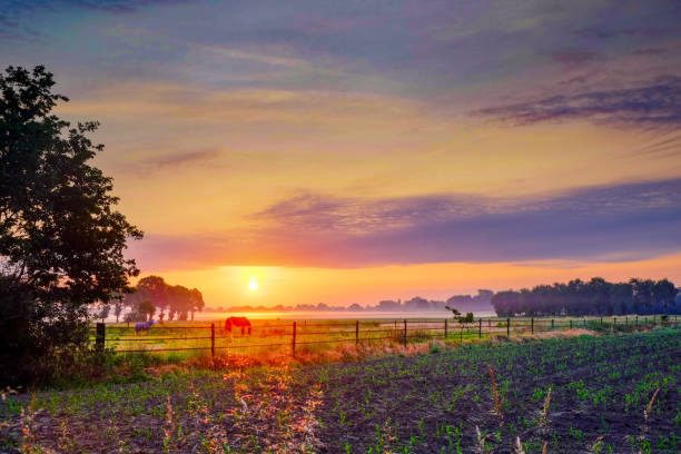 istock Colorful glowing sunrise 1172387395