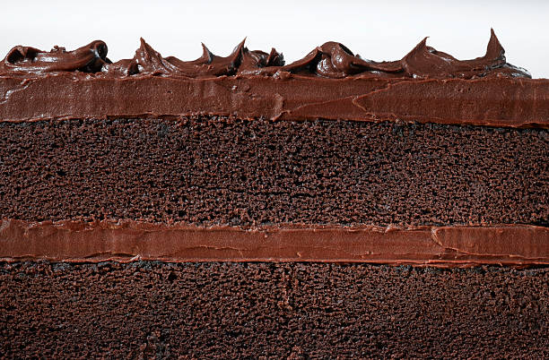 gâteau au chocolat - quatre quarts photos et images de collection
