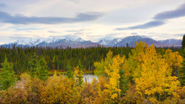 istock Fall Foliage at Kluane National Park, Yukon, Canada 1172392475