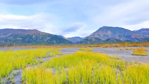 осенняя листва в национальном парке клюан, юкон, канада - lake alaska mountain mountain range стоковые фото и изображения