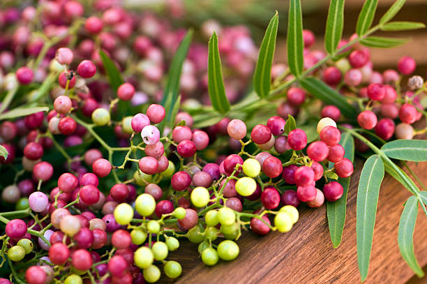 pimenta rosa. imagem a cores - pink peppercorn - fotografias e filmes do acervo