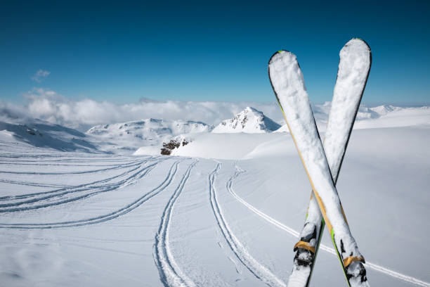 neige fraîche - ski track powder snow track snow photos et images de collection