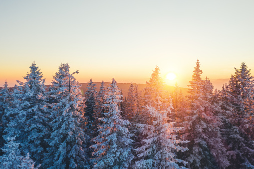 Snowcapped winter forest at sunset. View from above.