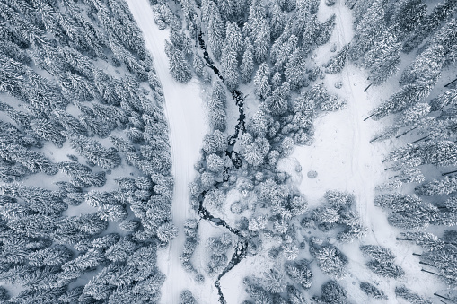 Aerial view on a stream in snowcapped winter forest.