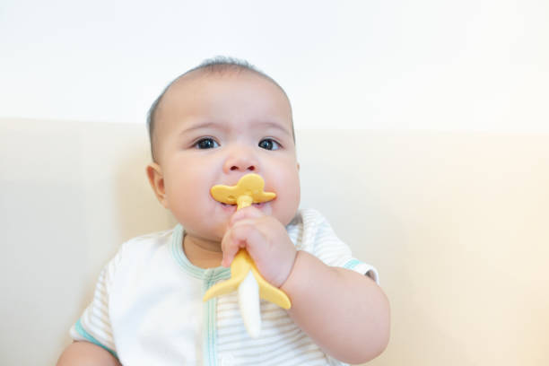 Asian newborn baby biting banana toy on white background Asian baby biting banana toy on white background buggy eyes stock pictures, royalty-free photos & images