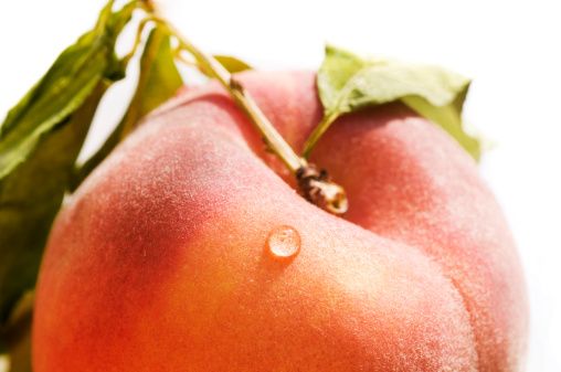 Closeup of fuzzy fresh peach with water drop. Shallow depth-of-field.